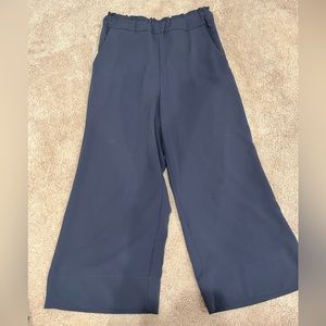 H&M Navy Wide Leg Pants